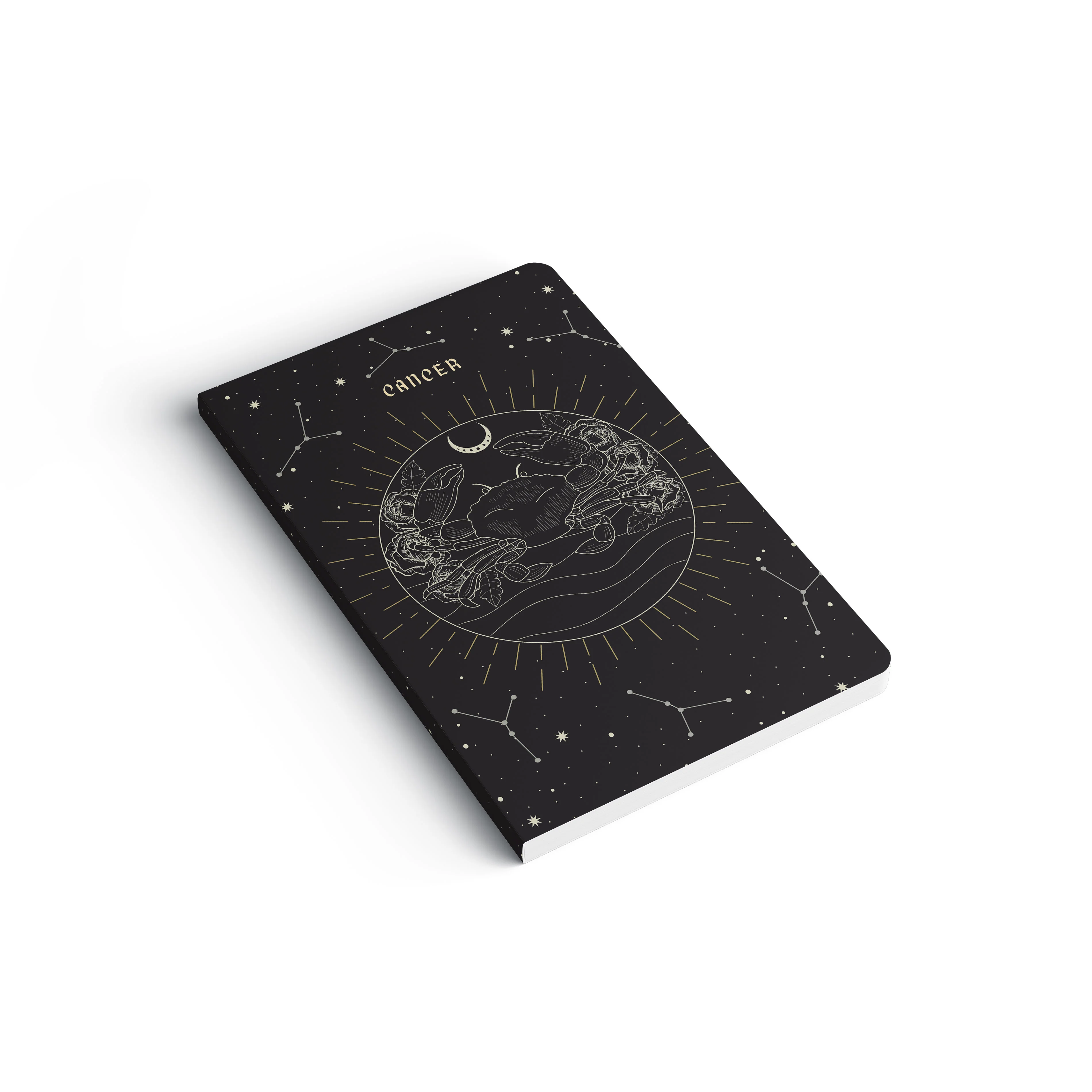 Pursuit Series - Cancer - Image 3