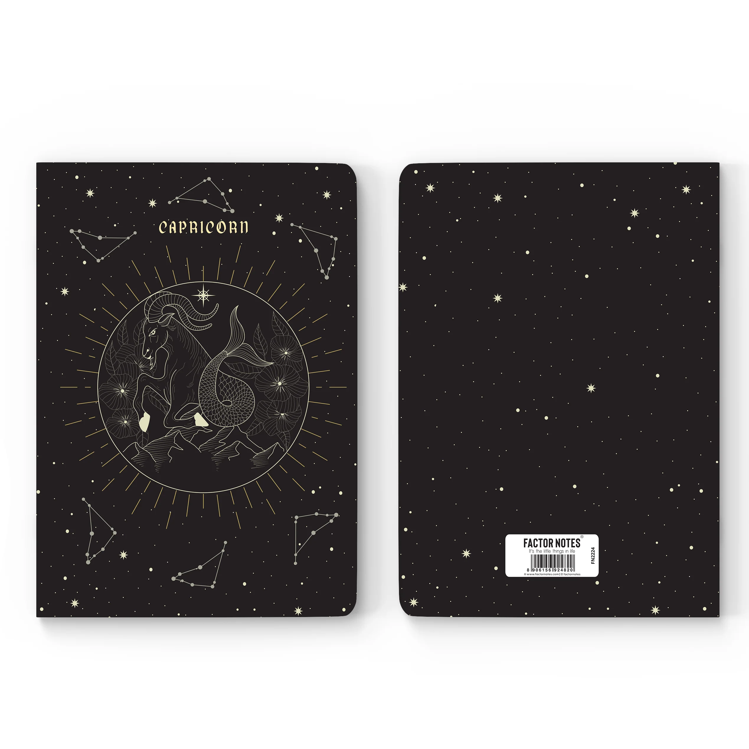Pursuit Series - Capricorn - Image 4